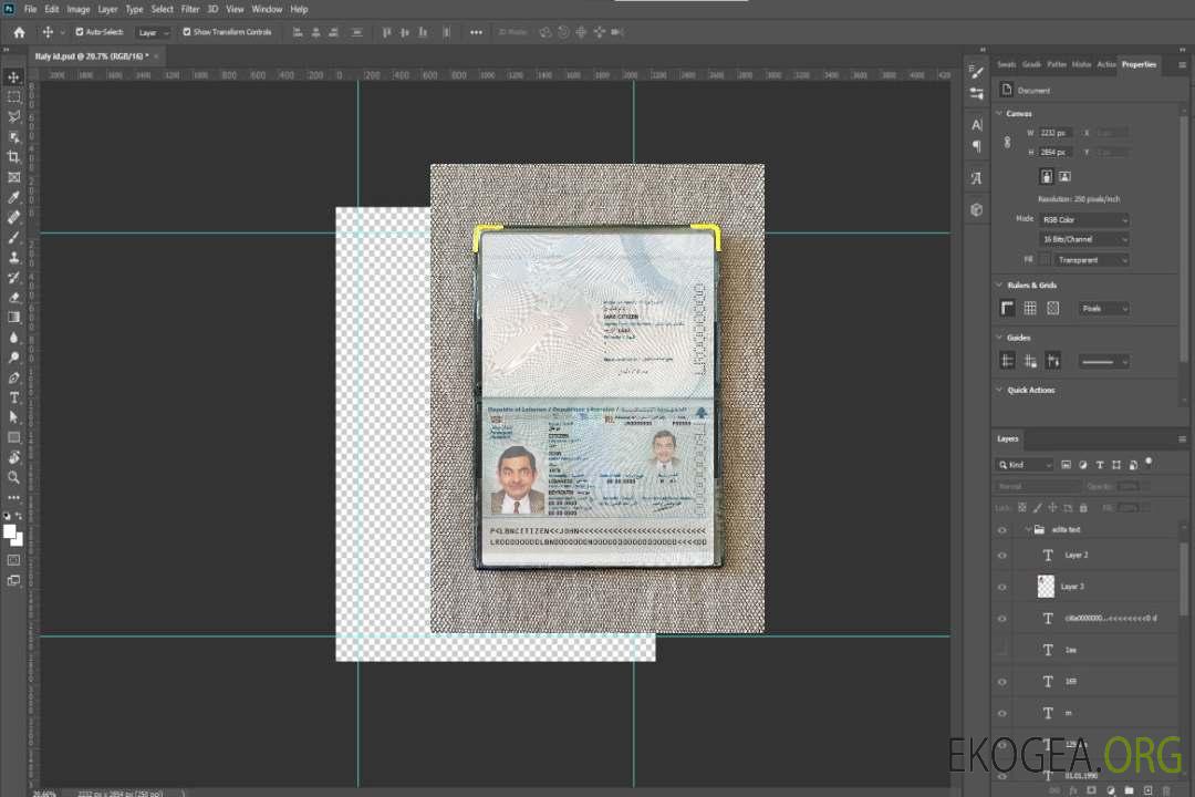 Photolook du passeport du Liban 2022-présent template Photolook du passeport du Liban 2022-présent template